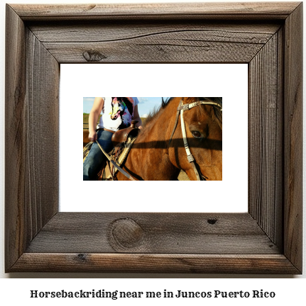 horseback riding near me in Juncos, Puerto Rico